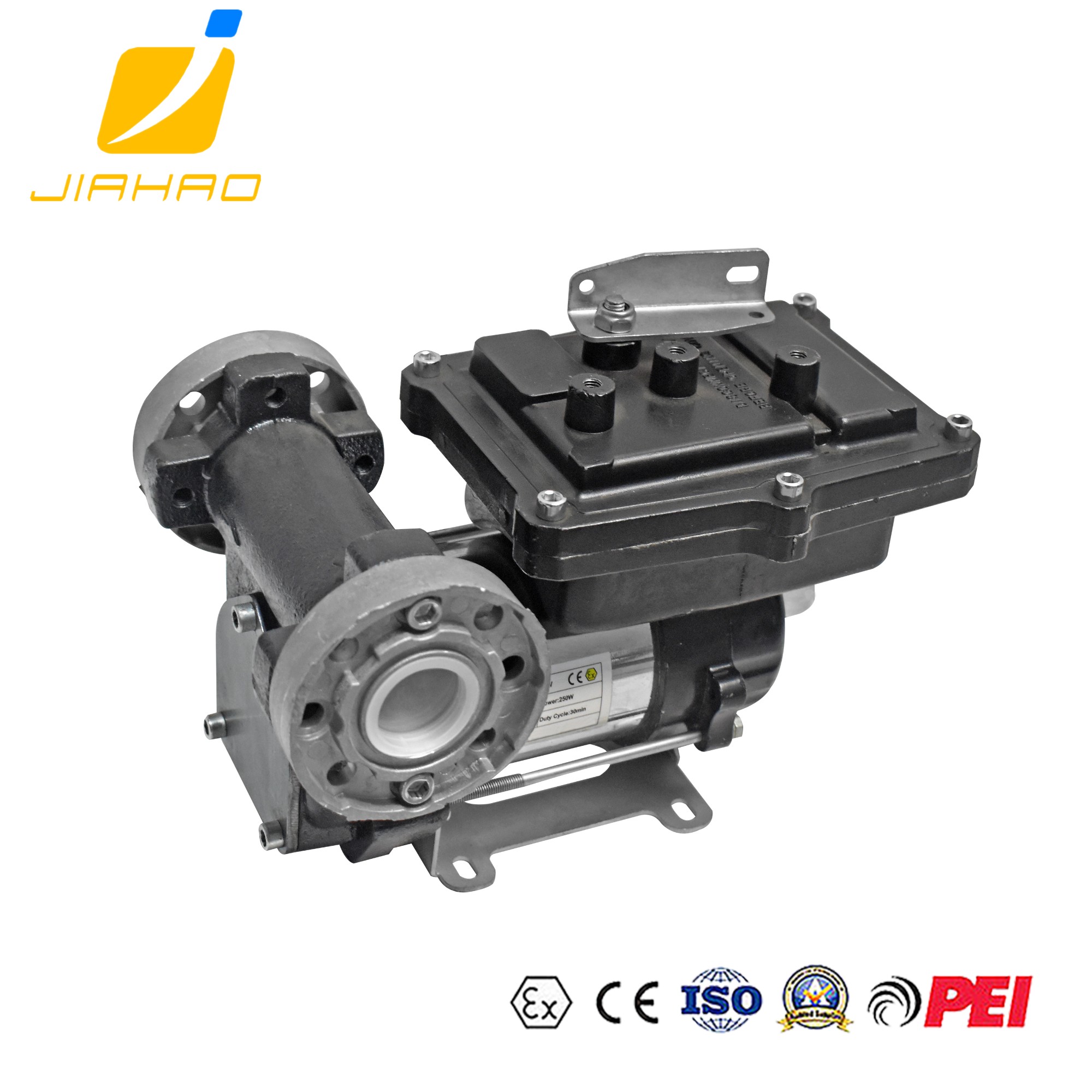 DYB-EX50-12V柴油泵